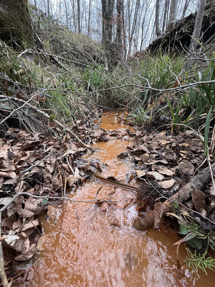 Un angolo naturale tutto da scoprire