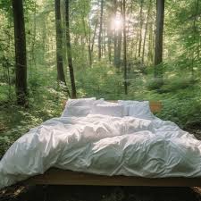 Dormire tra gli alberi a Bosco Malerba