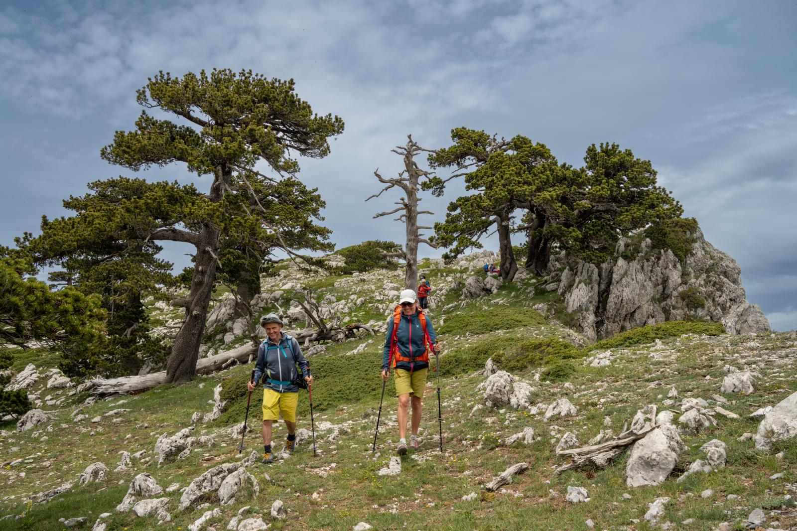 Un viaggio tra natura selvaggia e tradizioni antiche