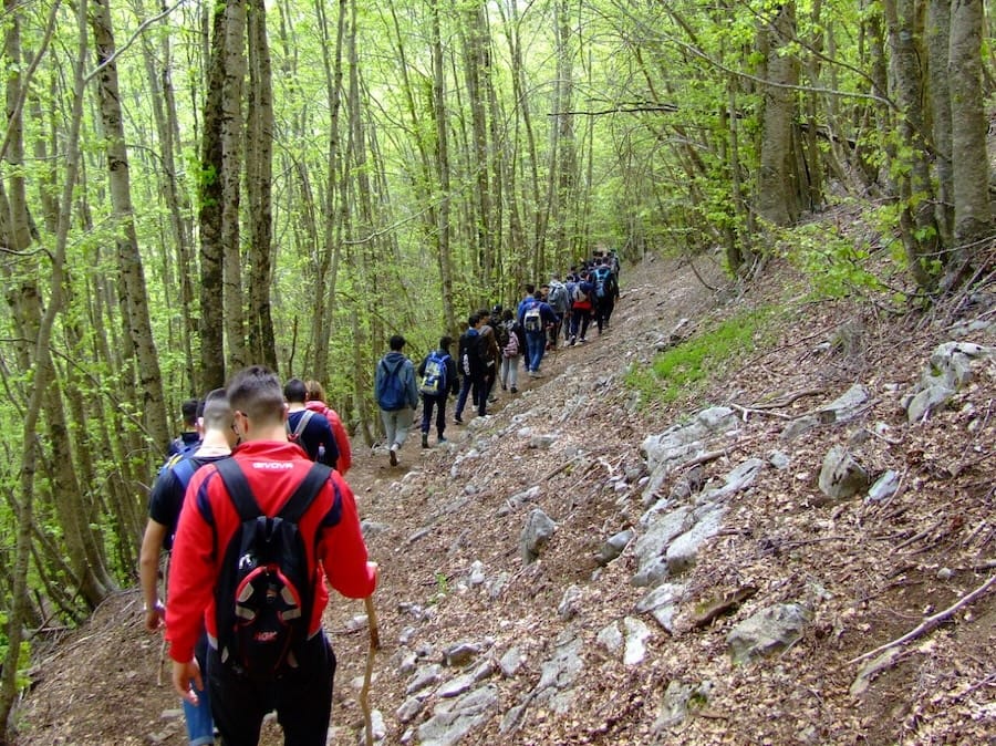 Vivere il Bosco
